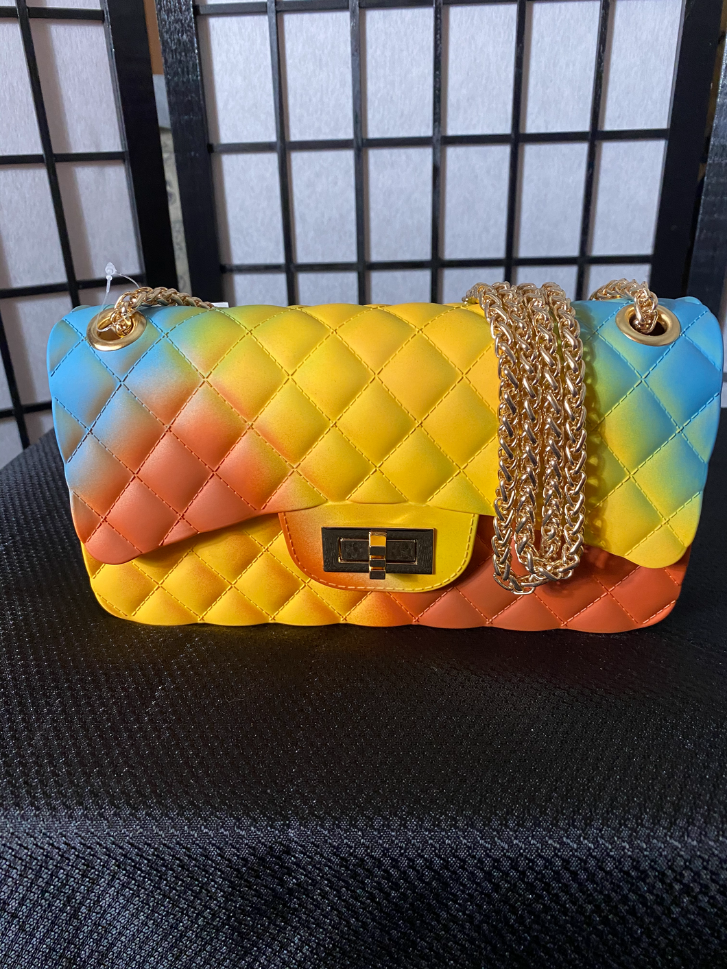 Multi Color Jellie Handbag